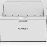 Printer Pantum Single Function