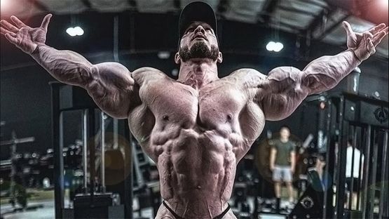 Steroïdes et impact sur la production d'énergie cellulaire pour un meilleur rendement musculaire Steroïdes et impact sur la production d'énergie cellulaire pour un meilleur rendement musculaire