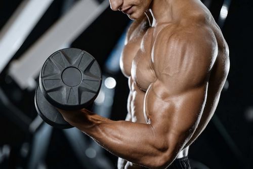 Warum ist es wichtig, das Training richtig zu beenden? Warum ist es wichtig, das Training richtig zu beenden?